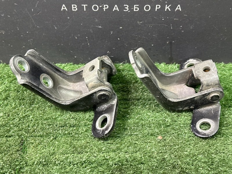 Петли двери Kia Ceed 1