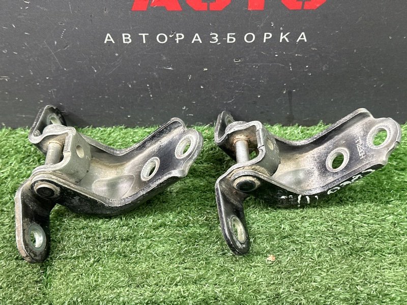 Петли двери Kia Ceed 1