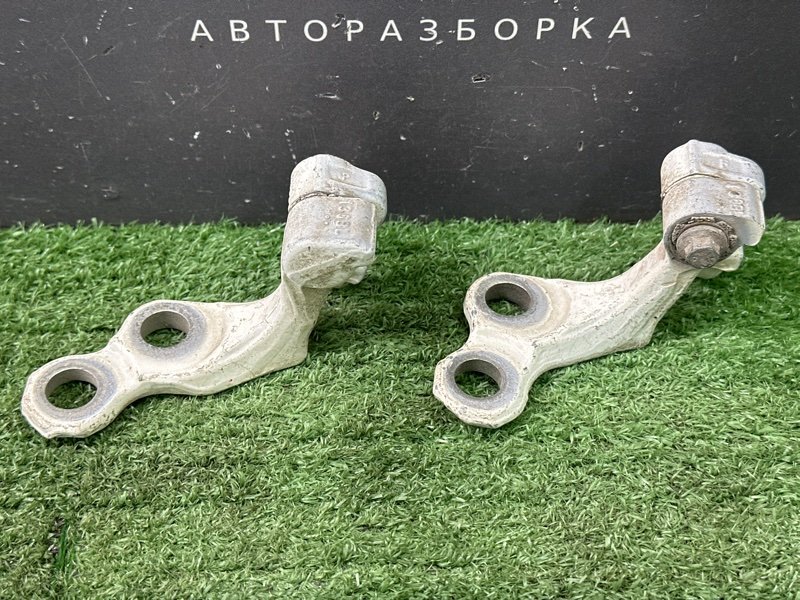 Петли двери Ford Focus 2