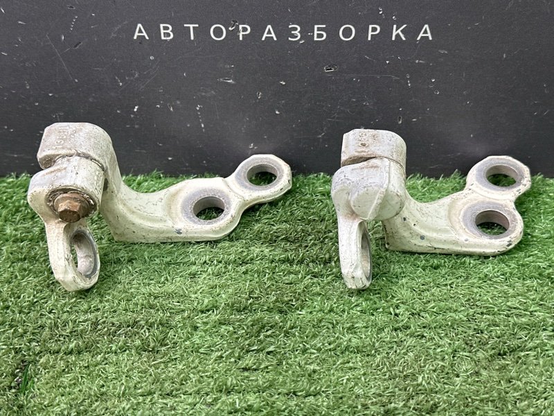 Петли двери Ford Focus 2