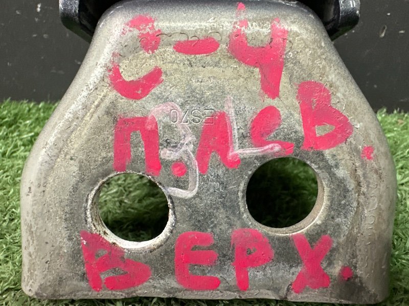 Петля двери Citroen C 4