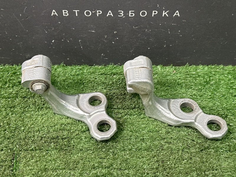 Петли двери Ford Focus 2