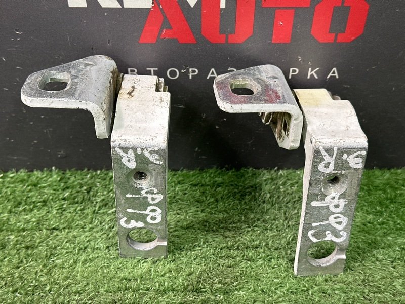 Петли двери Ford Focus 3