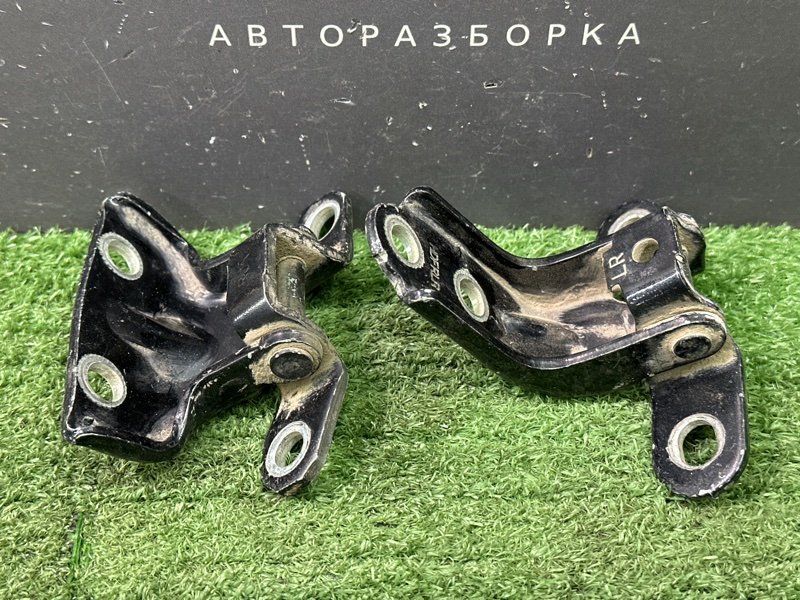 Петли двери Kia Ceed 1