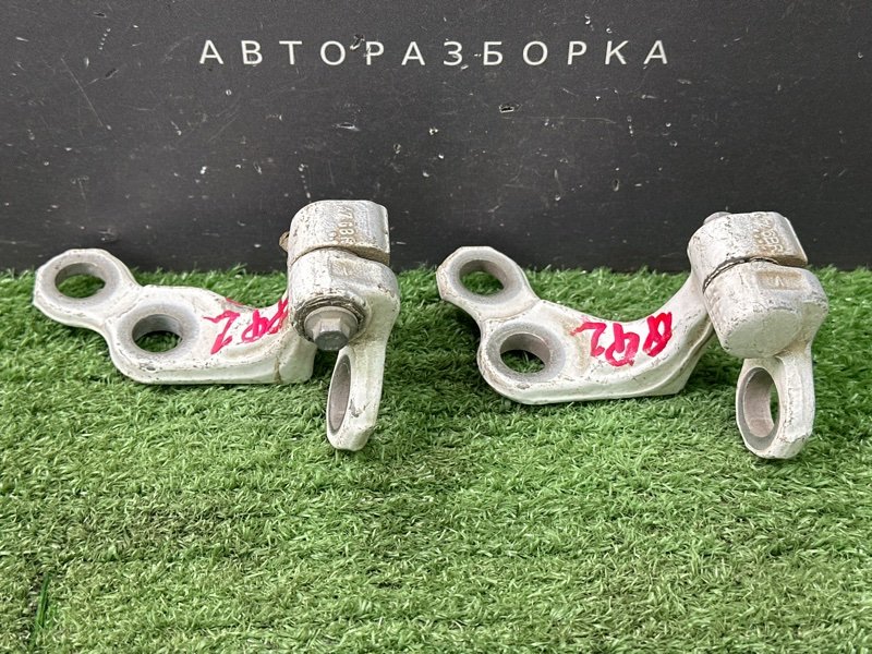 Петли двери Ford Focus 2