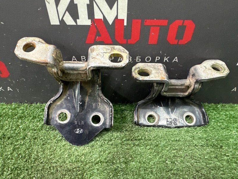 Петли двери Hyundai Sonata 4