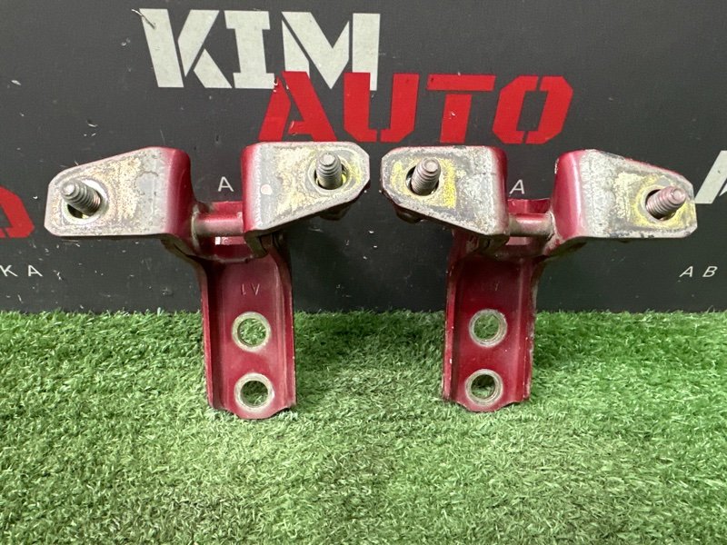 Петли двери Mitsubishi Lancer 9