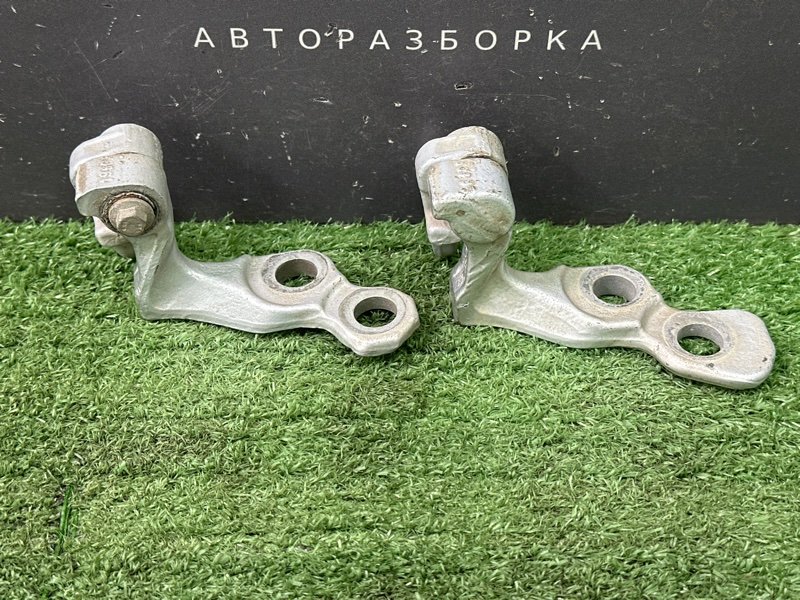 Петли двери Ford Focus 2