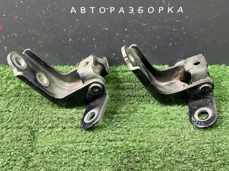 Петли двери Kia Ceed 1