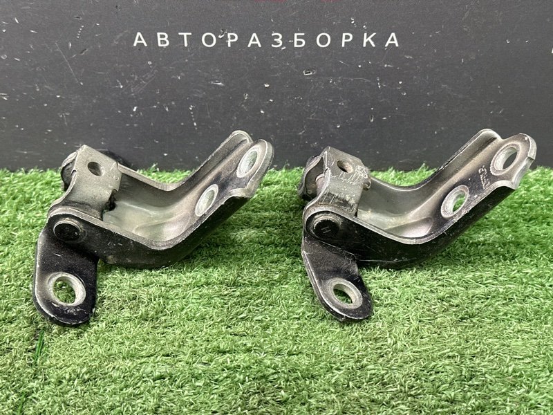 Петли двери Kia Ceed 1