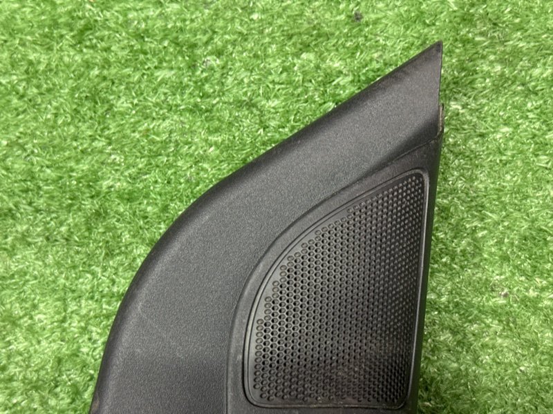 Твиттер зеркала Ford Focus 2