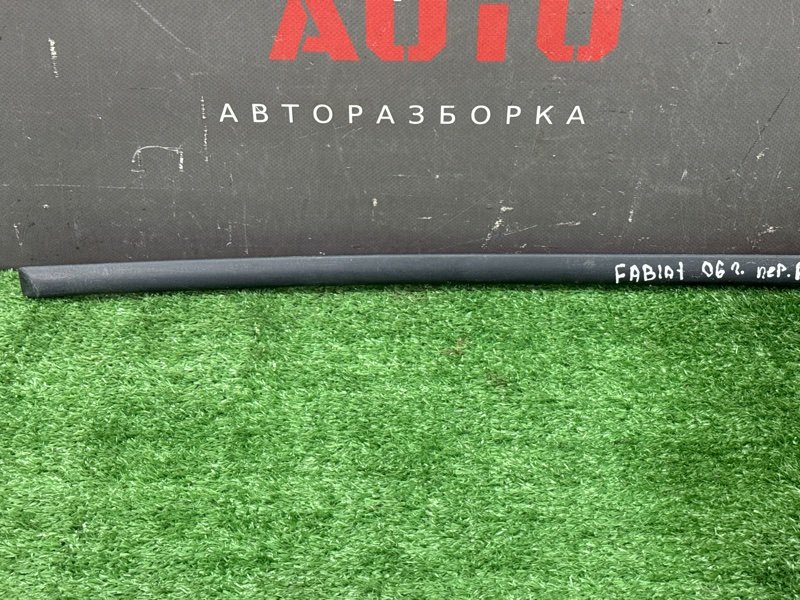Молдинг двери Skoda Fabia 1