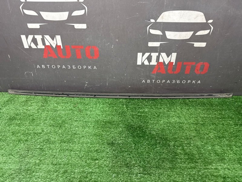 Молдинг двери Skoda Fabia 1