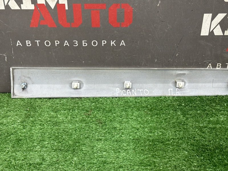 Молдинг двери Kia Picanto