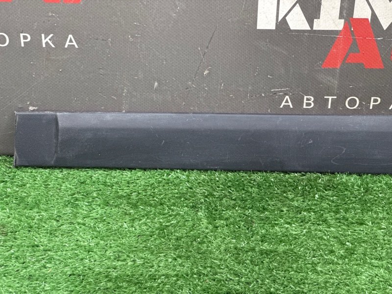 Молдинг двери Skoda Fabia 2