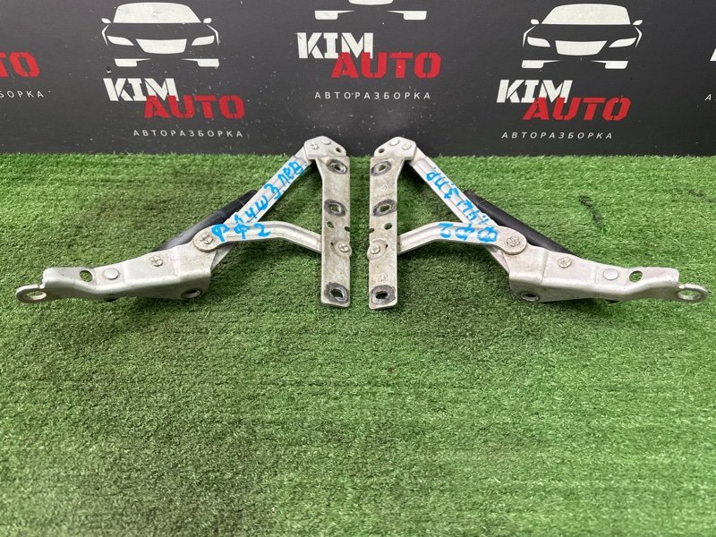 Петли крышки багажника Ford Focus