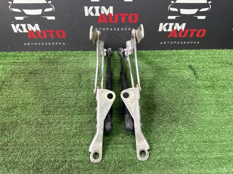 Петли крышки багажника Ford Focus