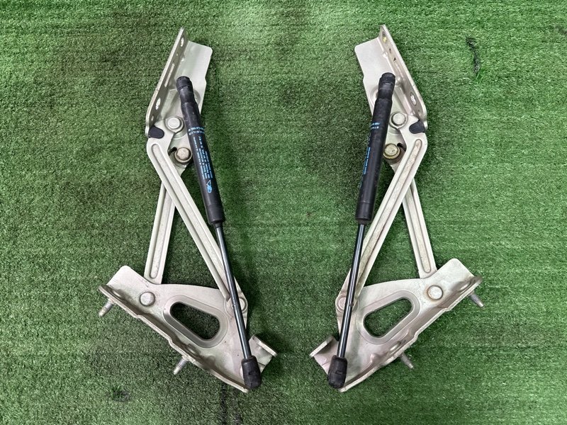 Петли крышки багажника Peugeot 407