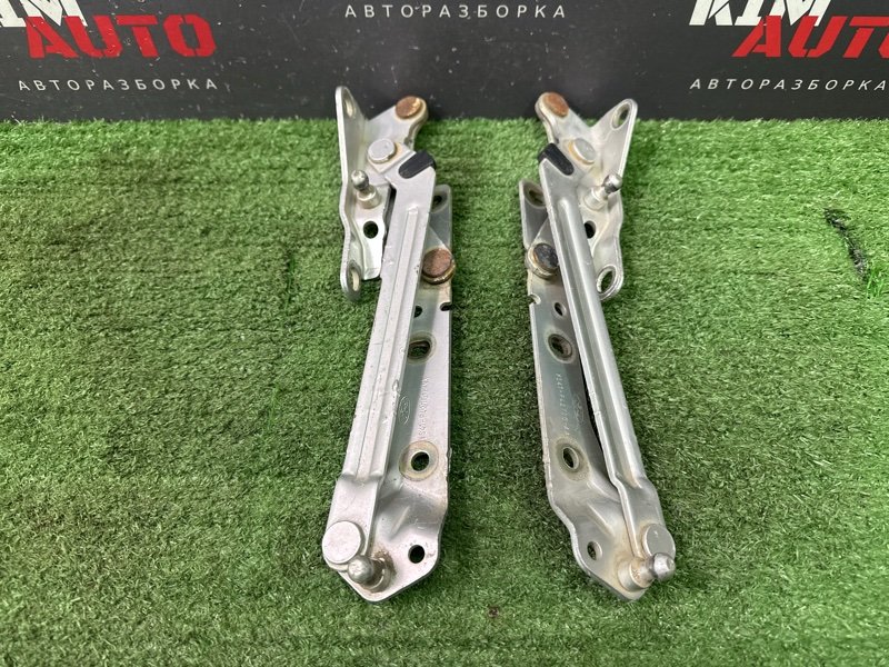 Петли крышки багажника Ford Focus 2