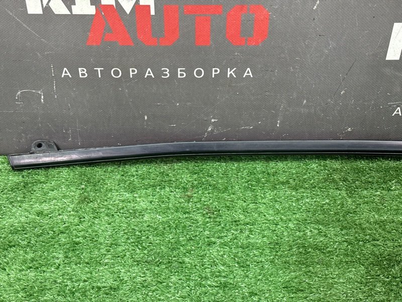 Уплотнитель стекла наружный (Бархотка) Citroen C 4