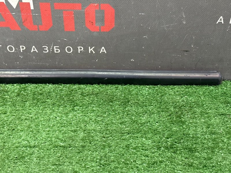 Уплотнитель стекла наружный (Бархотка) Ford Focus 2