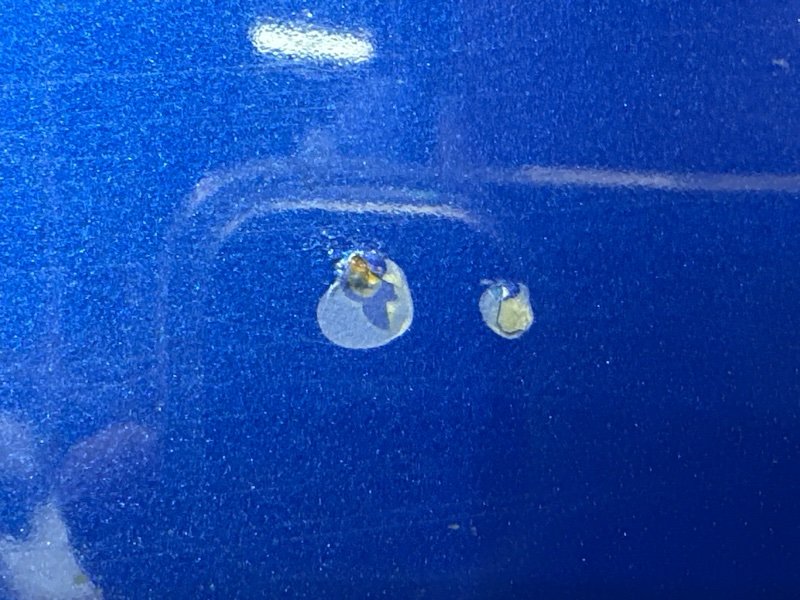 Дверь Kia Cerato 4 2021 BD