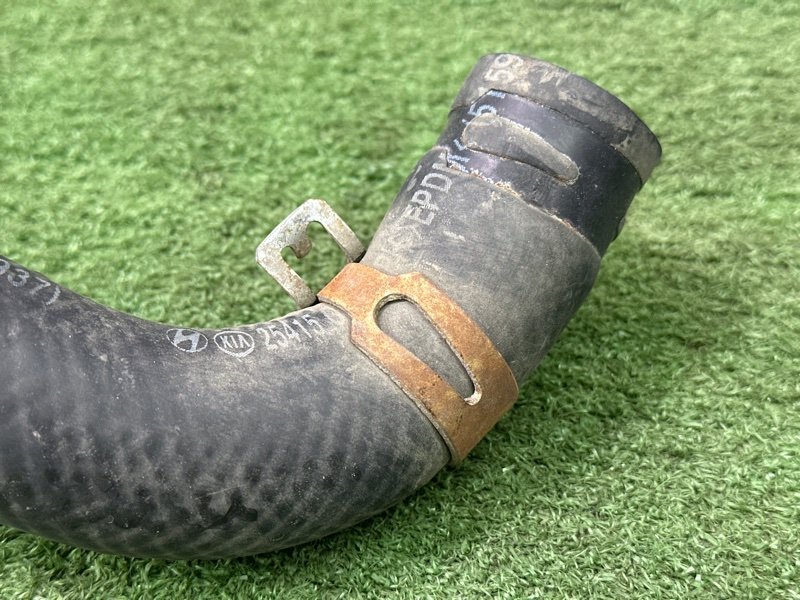 Патрубок радиатора нижний Hyundai Creta 2017 GS