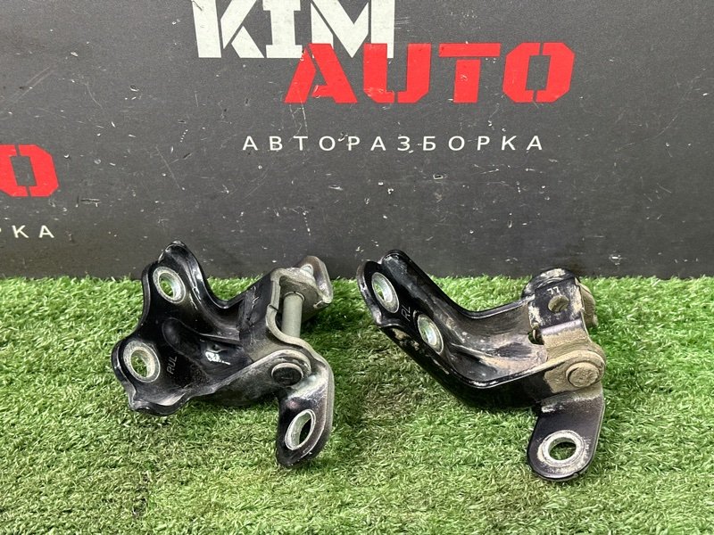 Петли двери Hyundai Solaris 1 2013 RB