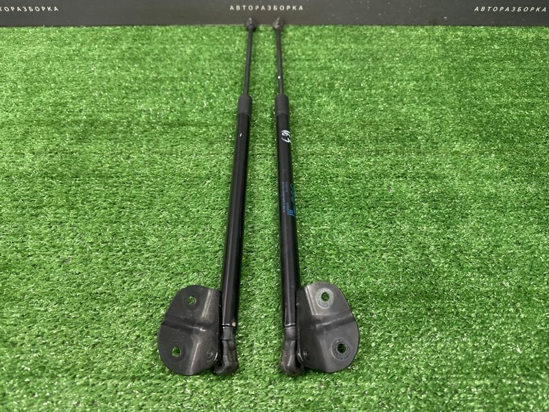 Амортизаторы крышки багажника Opel Astra J