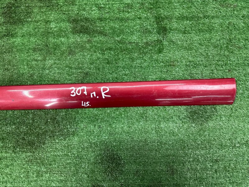 Молдинг двери Peugeot 307