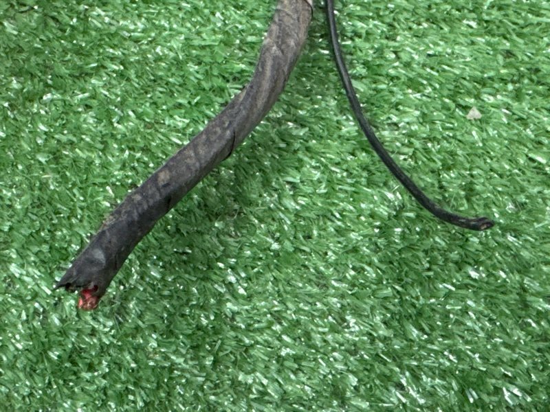 Проводка салона Hyundai Sonata EF