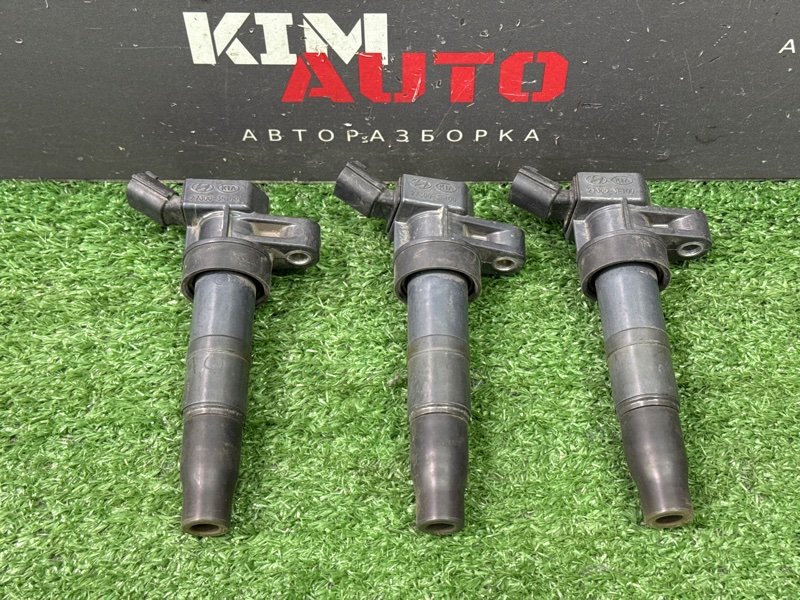 Катушка зажигания Hyundai Santa Fe