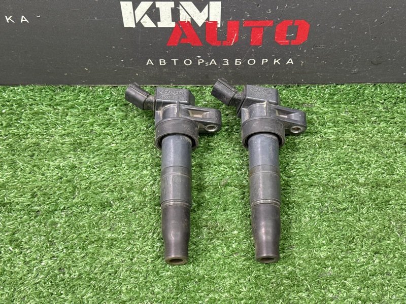 Катушка зажигания Hyundai Santa Fe