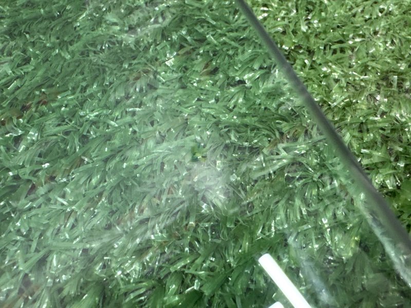 Стекло двери Citroen C4