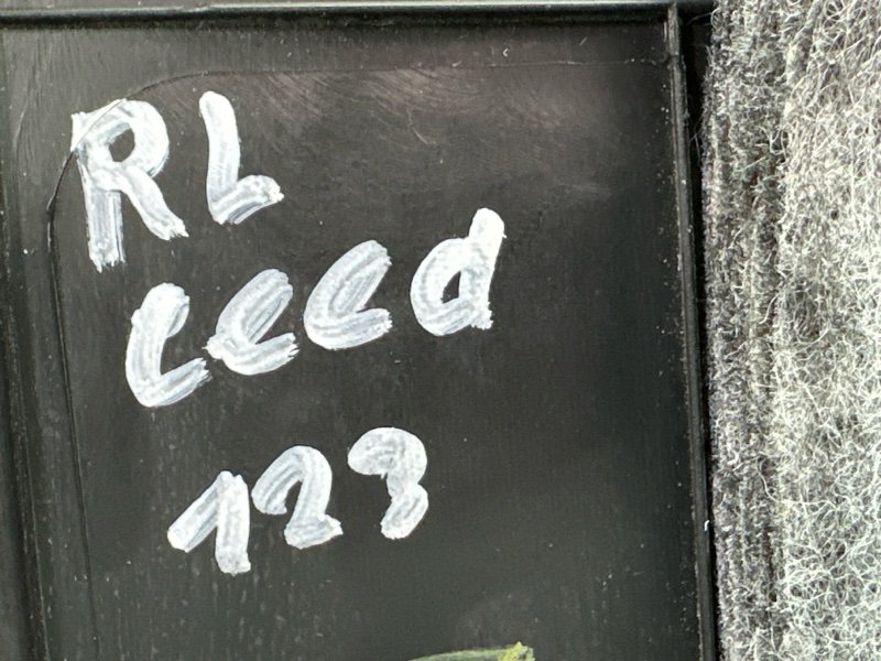 Накладка стойки кузова Kia Ceed 2 2015 SW