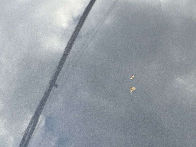 Крыша со стойками Kia Ceed 2 2015 SW