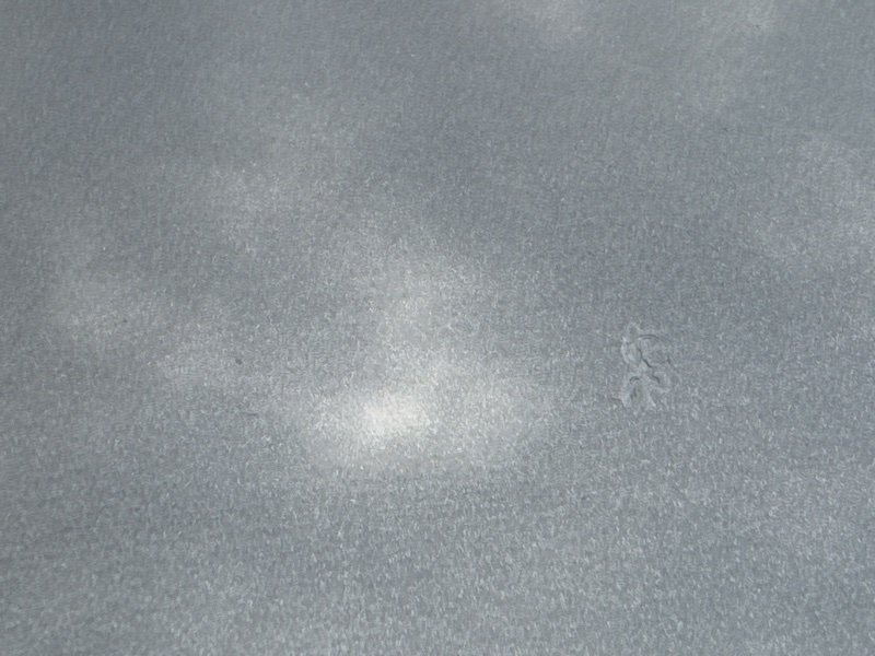 Крыша со стойками Kia Ceed 2 2015 SW