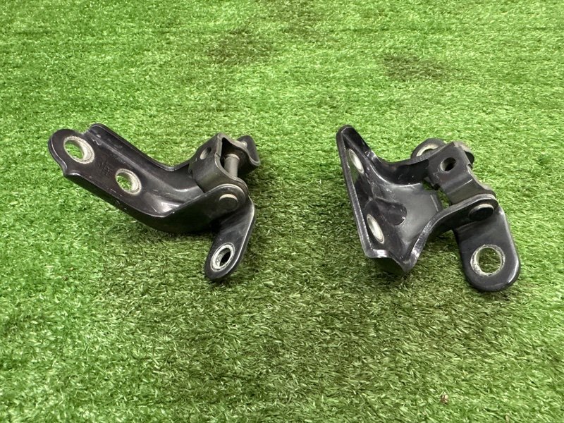 Петли двери Kia Ceed 2 2015 SW