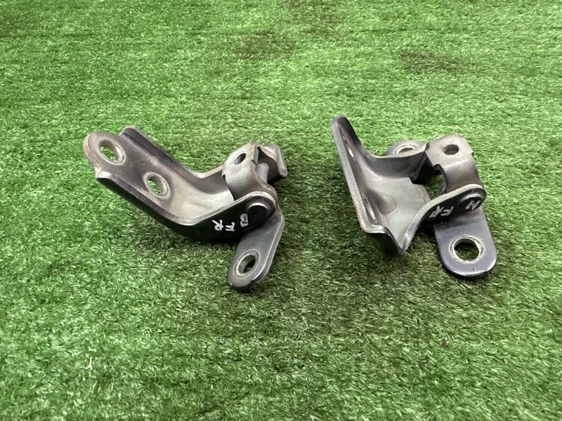 Петли двери Kia Ceed 2 2015 SW