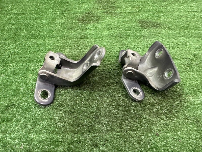 Петли двери Kia Ceed 2 2015 SW