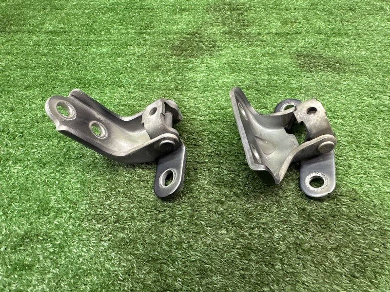 Петли двери Kia Ceed 2 2015 SW