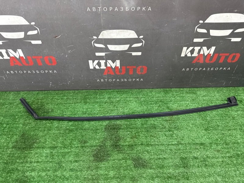 Уплотнитель двери Kia Ceed 2 2015 SW