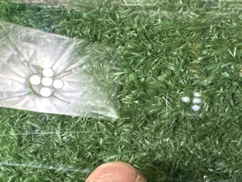 Стекло двери Kia Picanto