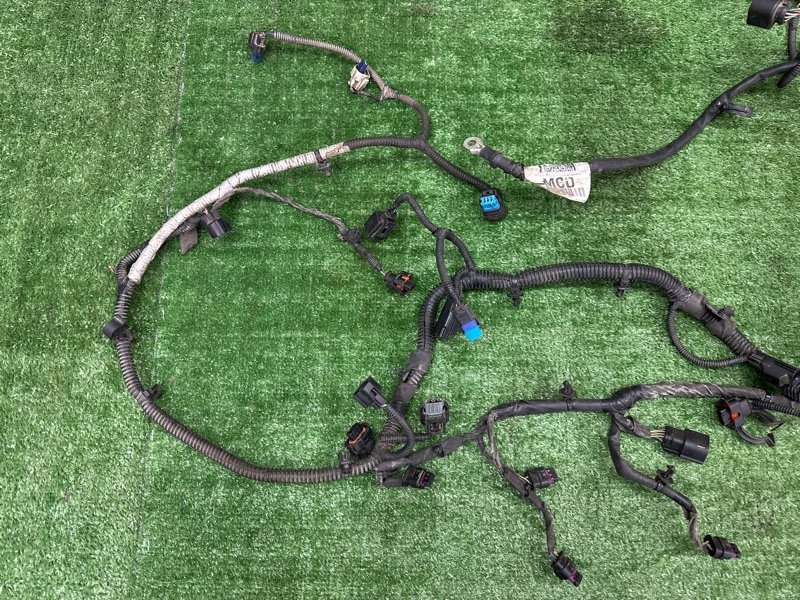 Проводка двигателя Ford Kuga 2013 SUV