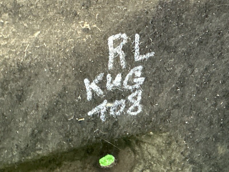 Подкрылок Ford Kuga 2013 SUV