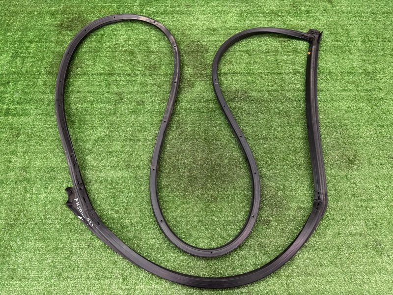 Уплотнитель двери Kia Soul 2014 SW