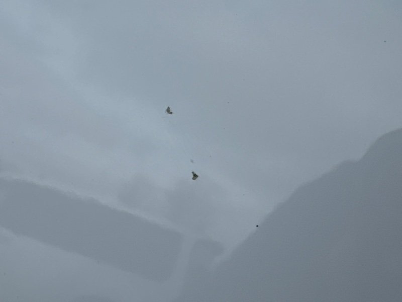 Крыло (четверть) Kia Soul 2014 SW