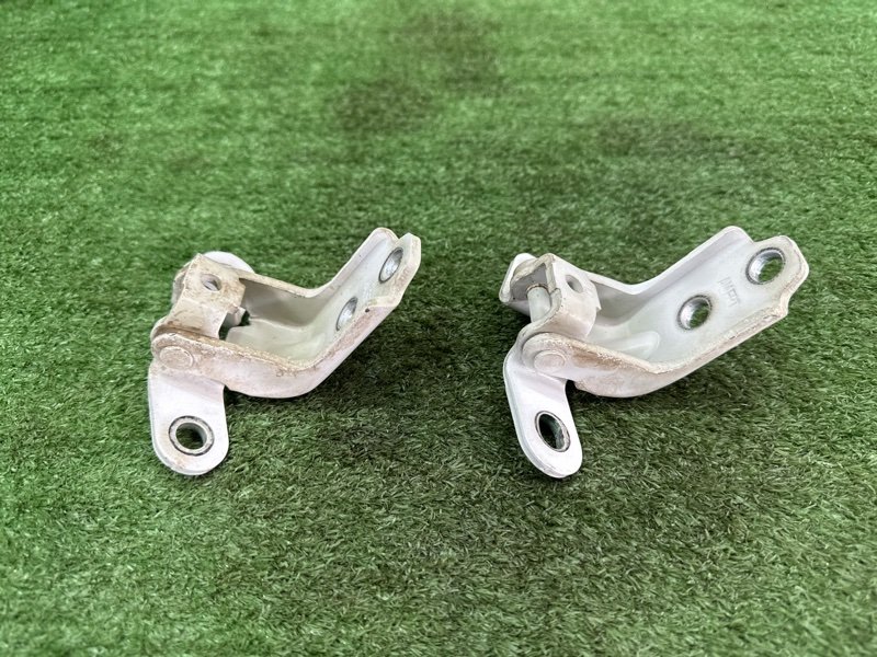 Петли двери Kia Soul 2014 SW