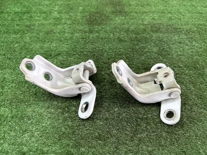 Петли двери Kia Soul 2014 SW