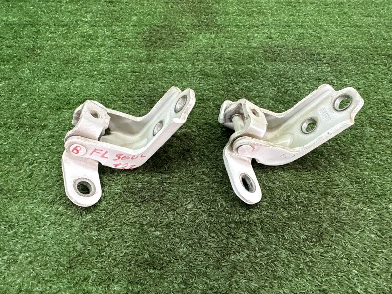 Петли двери Kia Soul 2014 SW